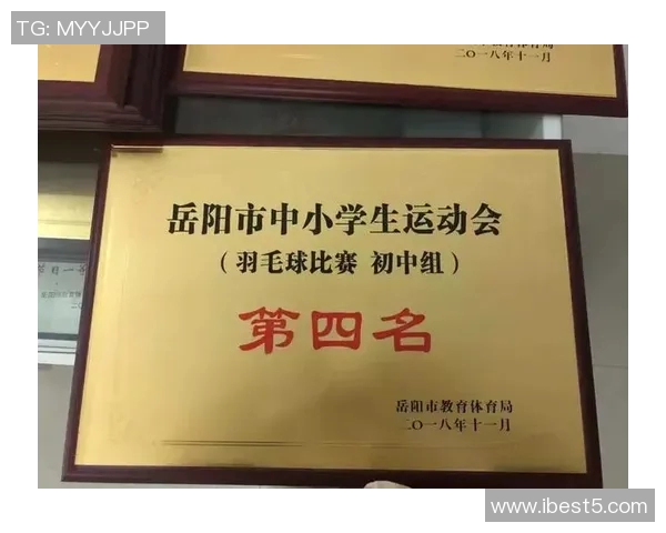 成都排球队的节奏革新探索与实践引领未来发展新方向