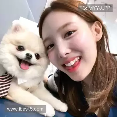 万桢翼